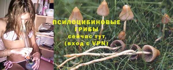 эйфоретик Карпинск
