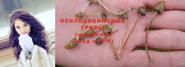 эйфоретик Карпинск
