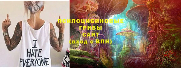 эйфоретик Каменногорск