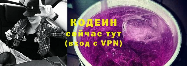 эйфоретик Карпинск